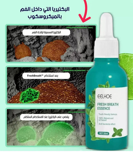 fresh breath eelhole